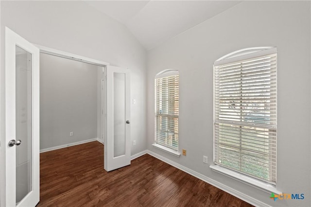 interior space featuring dark hardwood / wood-style flooring, plenty of natural light, and lofted ceiling