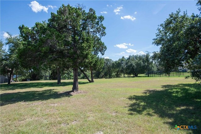 2124 Balcones Pl, Belton, TX 76513 - photo 16