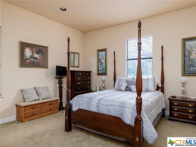 view of carpeted bedroom