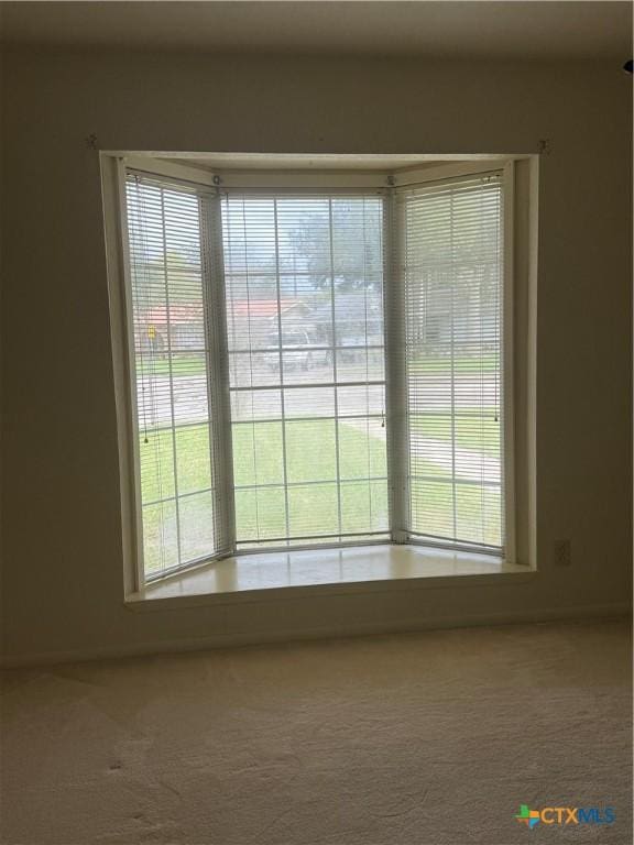 room details featuring carpet