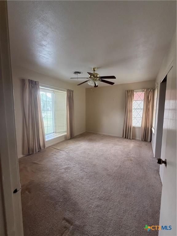 spare room with ceiling fan, a wealth of natural light, and carpet