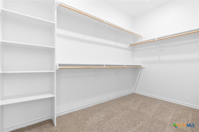 spacious closet featuring carpet