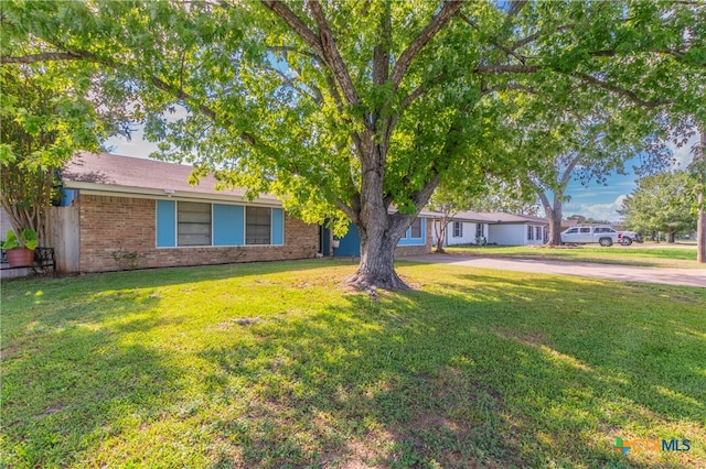 ranch-style home with a front lawn