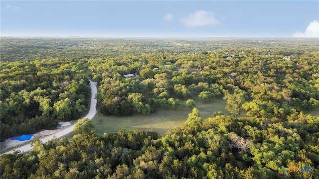 1910 S Rainbow Ranch Rd, Wimberley, TX 78676 - aerial view of a heavily wooded area