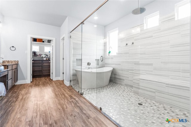 bathroom featuring a freestanding tub, a healthy amount of sunlight, a shower stall, and vanity