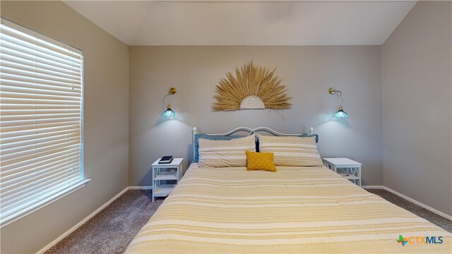 101 Arabian Dr, Victoria, TX 77904 - bedroom with dark colored carpet and vaulted ceiling