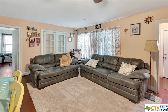 living room with hardwood / wood-style flooring