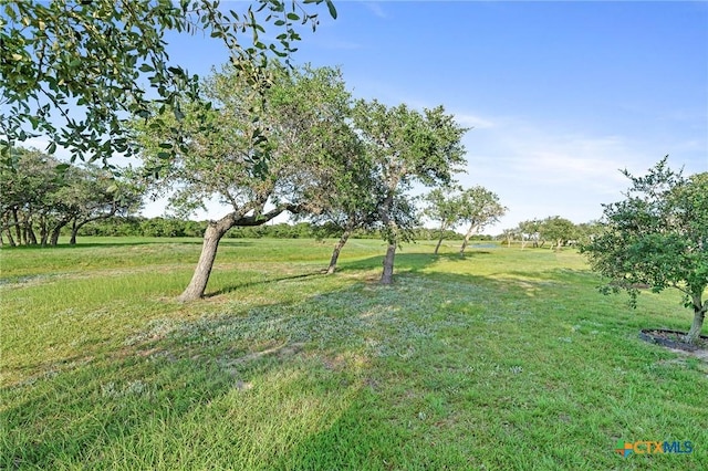 25 Augusta Cir, Aransas Pass, TX 78336 - view of green lawn