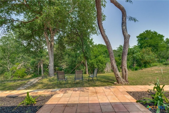 352 Ridge Crest Dr, Seguin, TX 78155 - view of patio