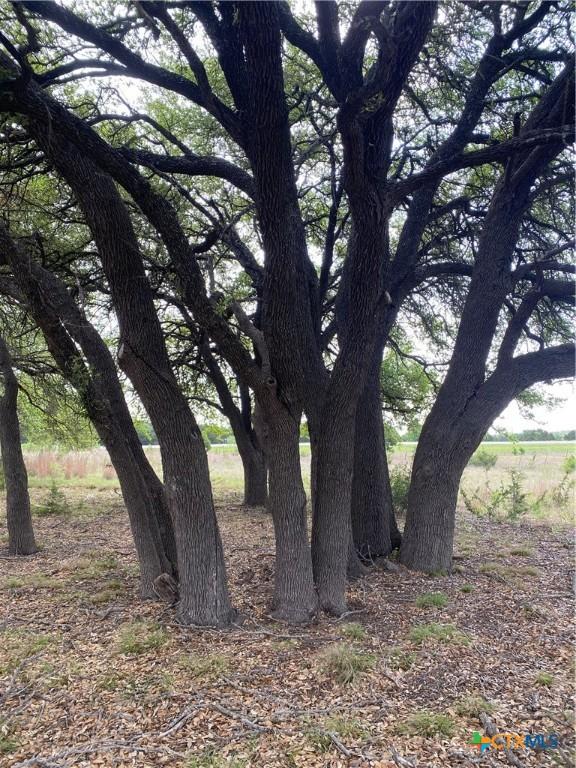 185 N County Road 2227, Lampasas, TX 76550 - photo 18