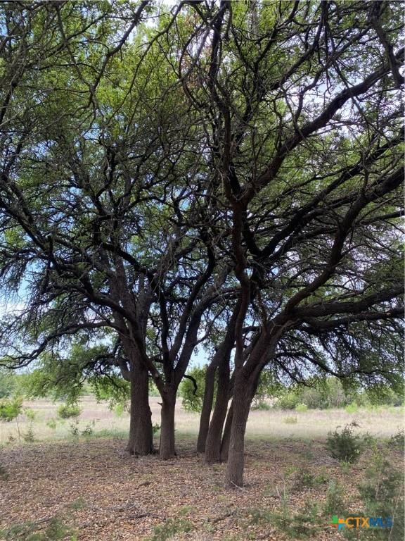 185 N County Road 2227, Lampasas, TX 76550 - photo 21
