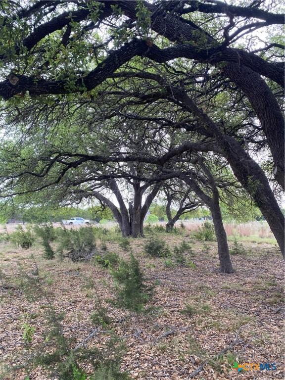 185 N County Road 2227, Lampasas, TX 76550 - photo 19