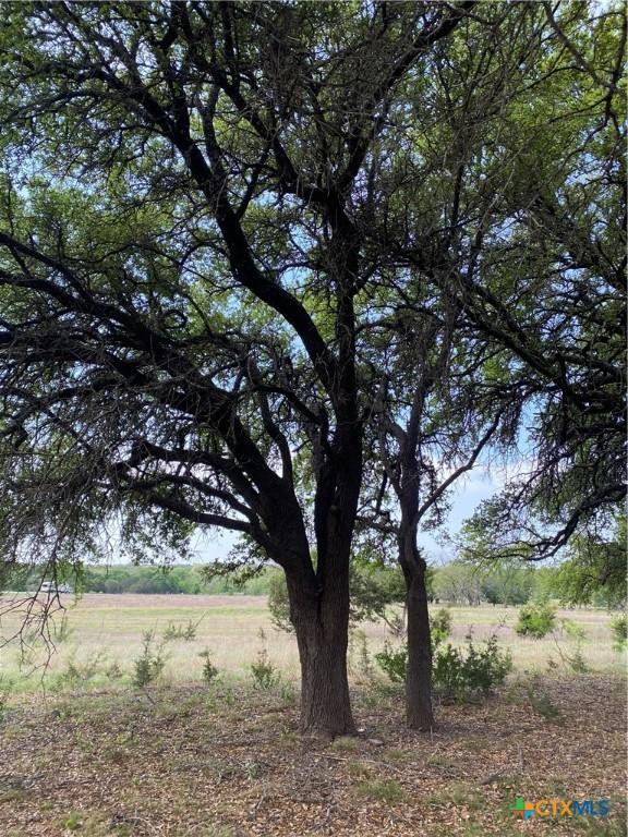 185 N County Road 2227, Lampasas, TX 76550 - photo 22