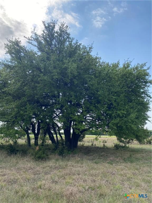 185 N County Road 2227, Lampasas, TX 76550 - photo 15
