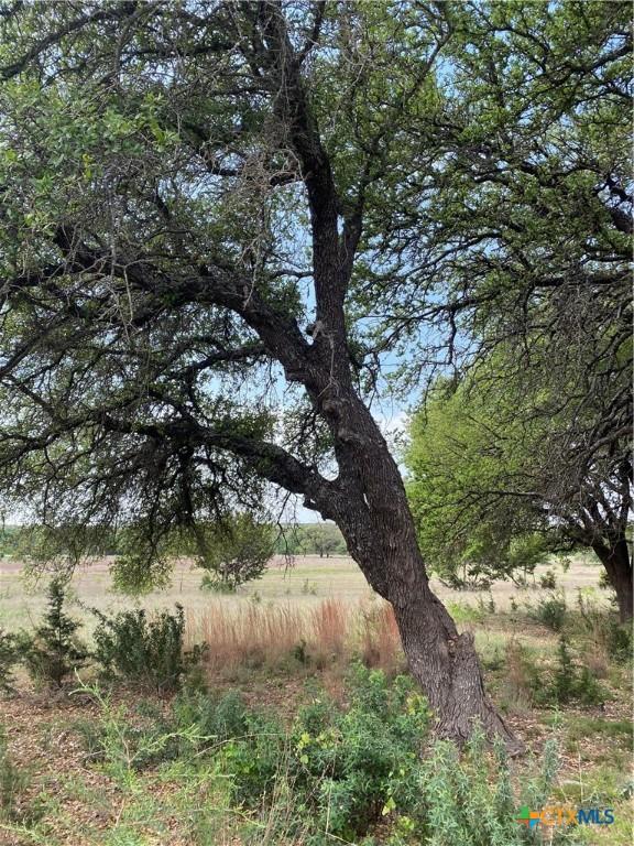 185 N County Road 2227, Lampasas, TX 76550 - photo 24