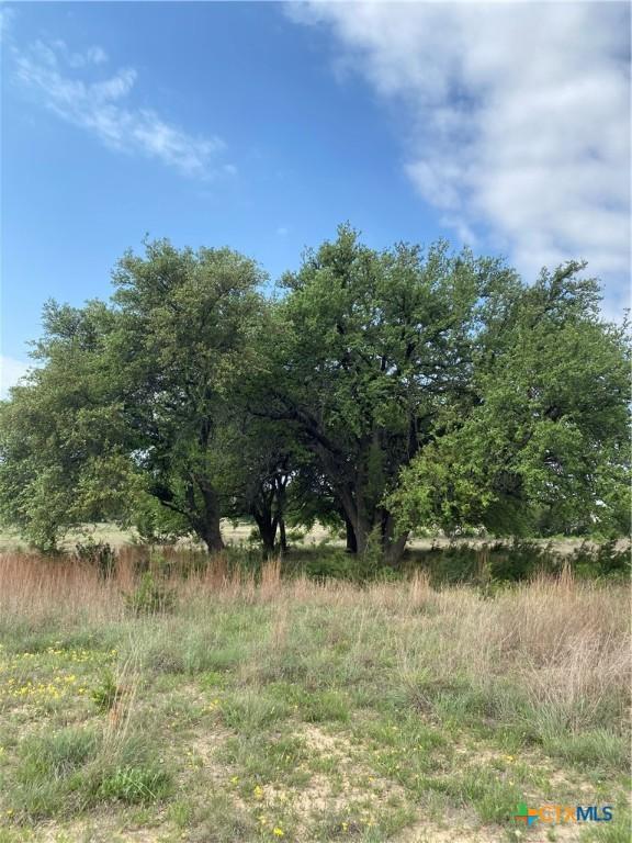 185 N County Road 2227, Lampasas, TX 76550 - photo 25