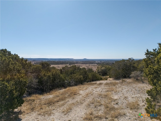 view of local wilderness