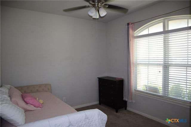 327 Limestone Crk, New Braunfels, TX 78130 - carpeted bedroom with multiple windows and ceiling fan