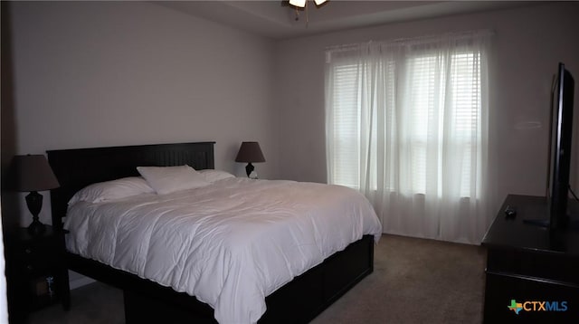327 Limestone Crk, New Braunfels, TX 78130 - bedroom featuring light colored carpet