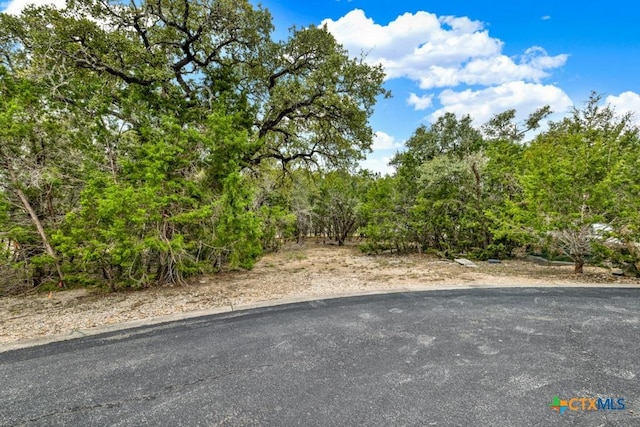 Listing photo 3 for 116 Single Tree Ct, Canyon Lake TX 78133