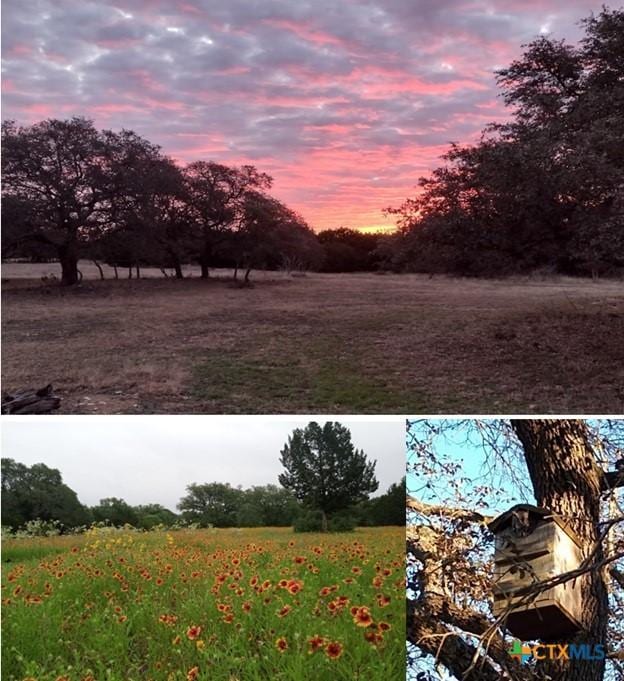 7741 W Fm 243, Bertram, TX 78605 - photo 6