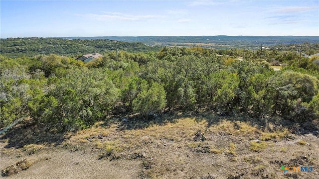 319 Toucan Dr, Spring Branch TX, 78070 land for sale