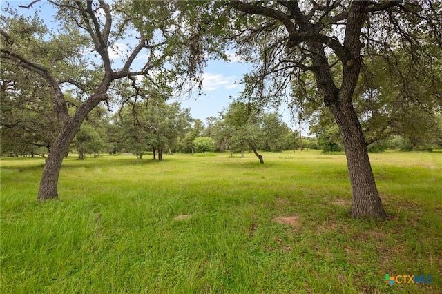 2955 Fannin Oaks, Victoria, TX 77905 - photo 29