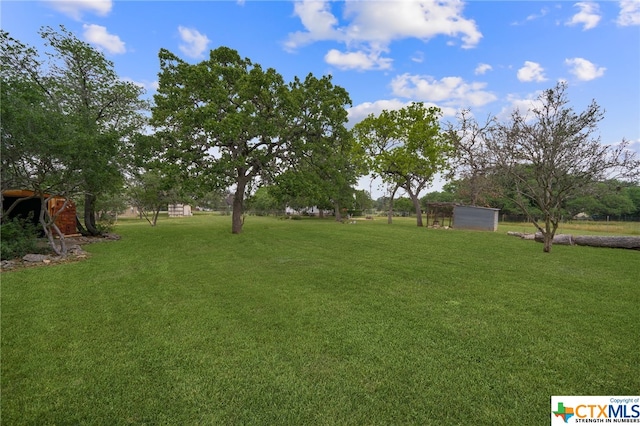 view of yard