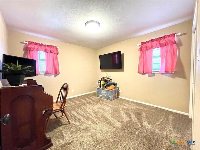 office with a wealth of natural light, a textured ceiling, baseboards, and carpet floors