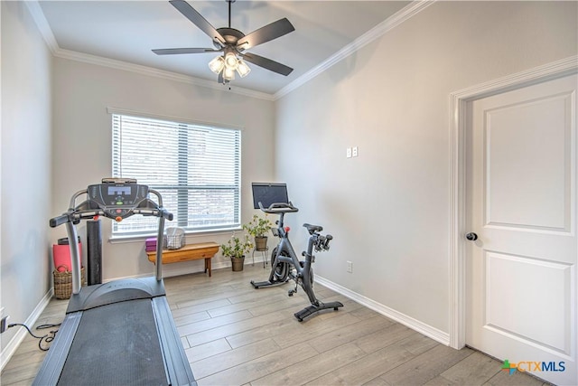 exercise area featuring ceiling fan, ornamental molding, and light wood-type flooring