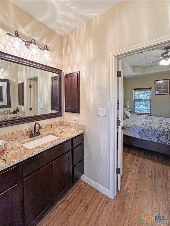 bathroom featuring vanity, hardwood / wood-style flooring, a tray ceiling, and ceiling fan