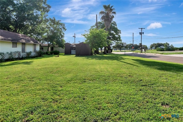 116 N Ben Wilson St, Victoria, TX 77901 - view of green lawn