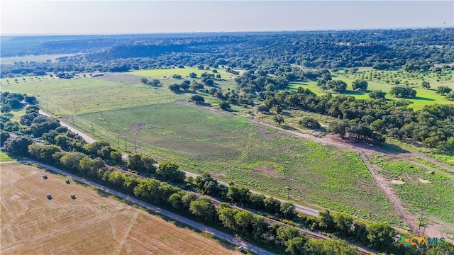 9145 Paddy Hamilton Rd, Belton, TX 76513 - photo 17