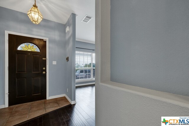 entrance foyer with dark wood-type flooring