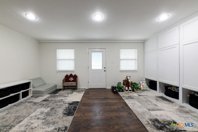 foyer featuring dark hardwood / wood-style flooring