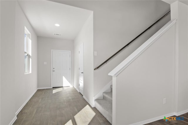 foyer entrance featuring dark wood-type flooring