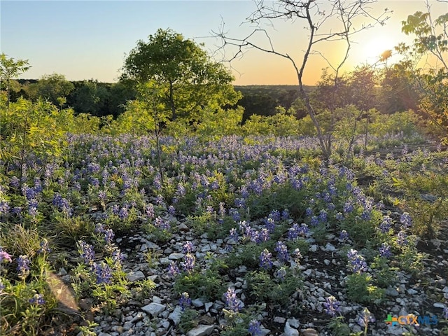 14435 Fm 182, Clifton, TX 76634