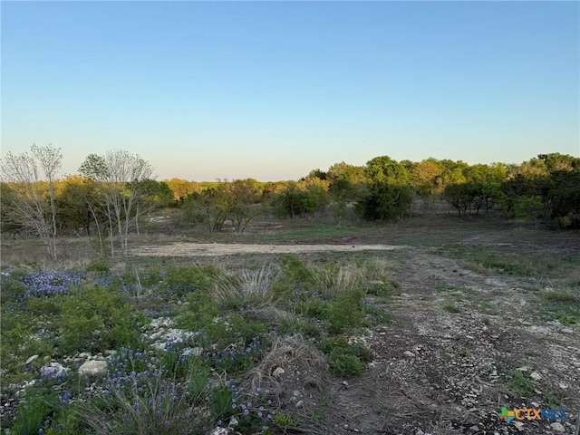 14435 Fm 182, Clifton, TX 76634