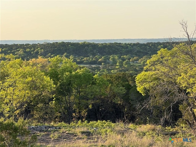 14435 Fm 182, Clifton, TX 76634