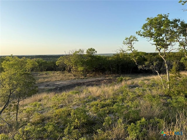 14435 Fm 182, Clifton, TX 76634