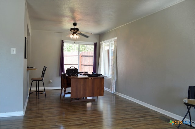 office area featuring ceiling fan and dark hardwood / wood-style floors