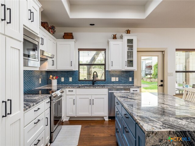 2091 County Road 100, Burnet, TX 78611 - kitchen with stainless steel appliances, white cabinetry, extractor fan, dark wood-type flooring, and a sink