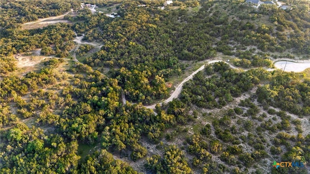 1196 Senisa Way, Spring Branch, TX 78070 - photo 17