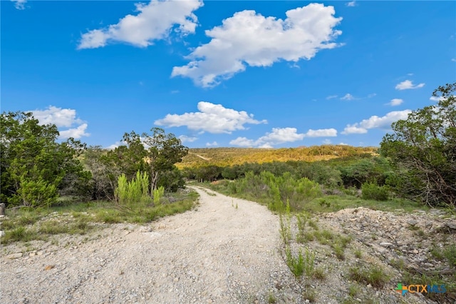 1196 Senisa Way, Spring Branch, TX 78070 - photo 6