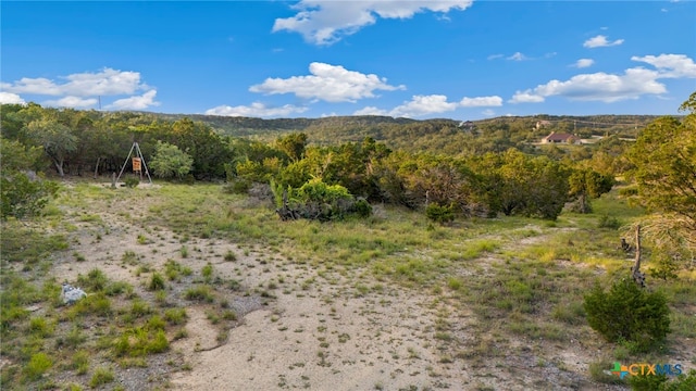 1196 Senisa Way, Spring Branch, TX 78070 - photo 4