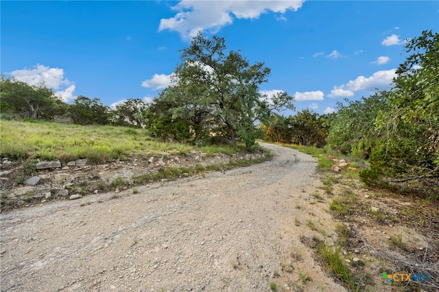 1196 Senisa Way, Spring Branch, TX 78070 - photo 8