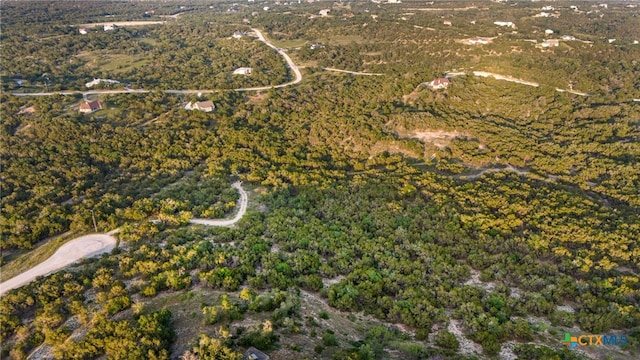 1196 Senisa Way, Spring Branch, TX 78070 - photo 16