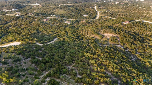 1196 Senisa Way, Spring Branch, TX 78070 - photo 15