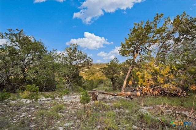 1196 Senisa Way, Spring Branch, TX 78070 - photo 10
