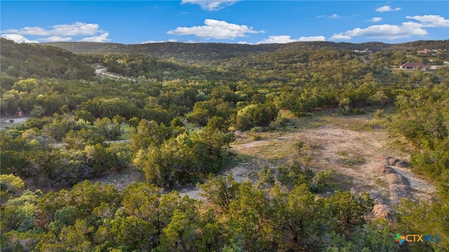 1196 Senisa Way, Spring Branch, TX 78070 - photo 1